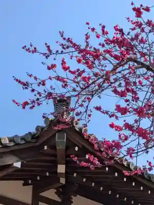 妙法寺(東京都)