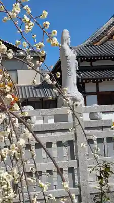 大松禅寺(京都府)