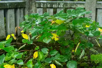 諏訪大社上社前宮(長野県)