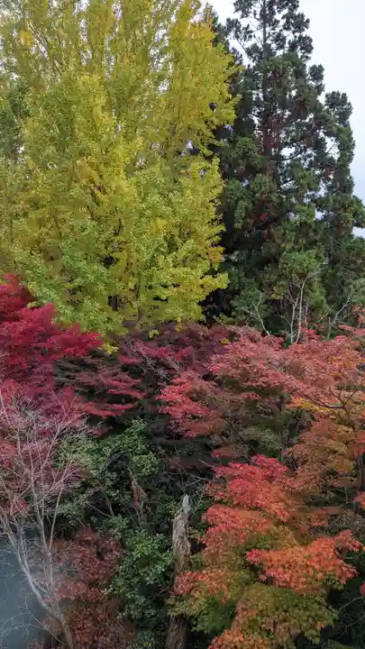 三鈷寺(京都府)