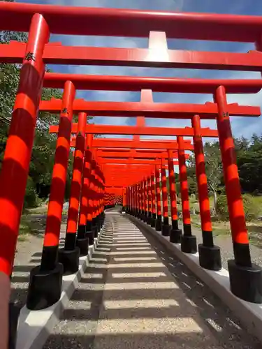 高山稲荷神社の鳥居