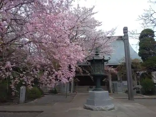 祇園寺の自然