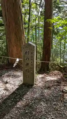 玉置神社(奈良県)
