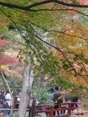 鶴岡八幡宮の庭園