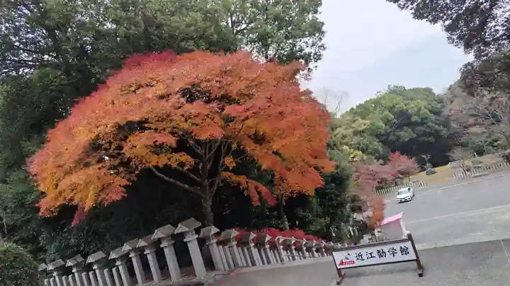 近江神宮(滋賀県)