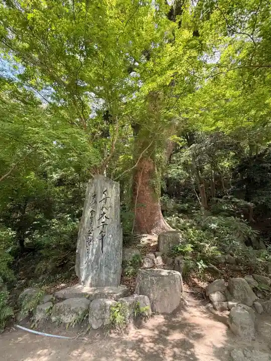 太宰府天満宮の{uncategorized: "未分類", other: "その他", undefined: "問題あり", building: "その他建物", grave: "お墓", sacred_gate: "鳥居", guardian: "狛犬", statue: "像", buddha: "仏像", history: "歴史", nature: "自然", garden: "庭園", animal: "動物", pagoda: "塔", temizu: "手水舎", mountain_gate: "山門・神門", sanctuary: "本殿・本堂", subordinate: "末社・摂社", art: "芸術", scenery: "景色", jizo: "地蔵", ema: "絵馬", goshuin: "御朱印", omikuji: "おみくじ", items: "授与品その他", amulet: "お守り", goshuincho: "御朱印帳", eats: "食事", festival: "お祭り", votive_dance: "神楽", shichigosan: "七五三参", wedding: "結婚式", experience: "体験その他", initially: "初詣", around: "周辺", anti_infection: "感染症対策"}