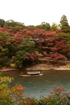 大悲閣千光寺(京都府)