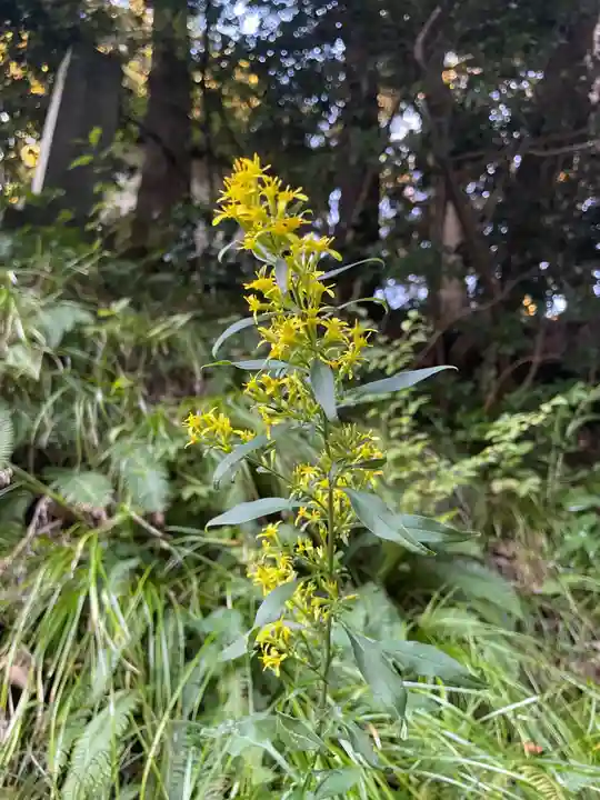 国上寺(新潟県)
