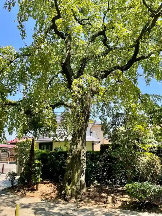真福寺(神奈川県)