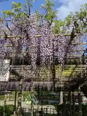 日吉神社の庭園