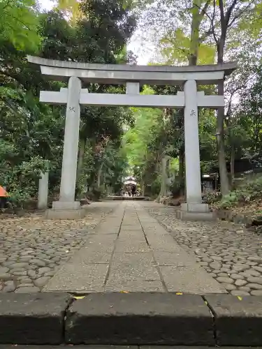 代々木八幡宮の鳥居