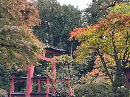 北口本宮冨士浅間神社(山梨県)