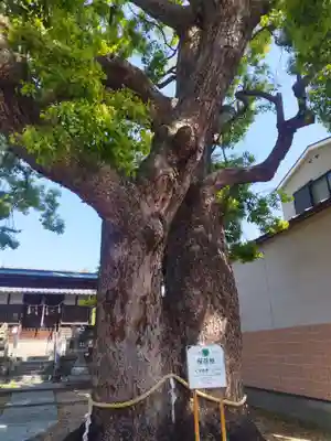 大神社(大阪府)