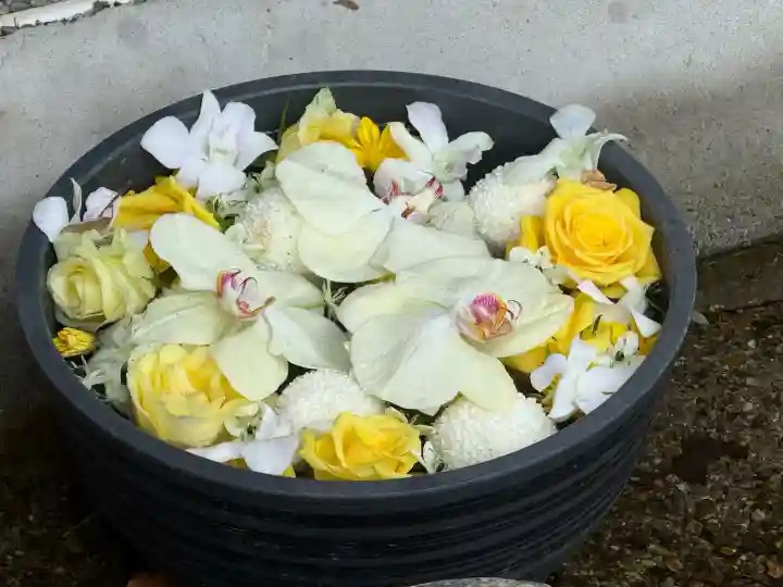 武蔵一宮氷川神社(埼玉県)