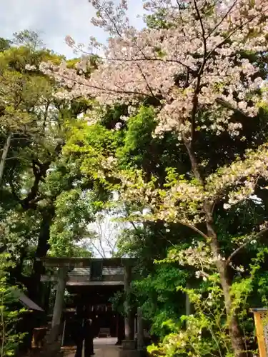 赤坂氷川神社(東京都)