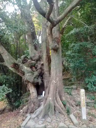 高良神社(京都府)