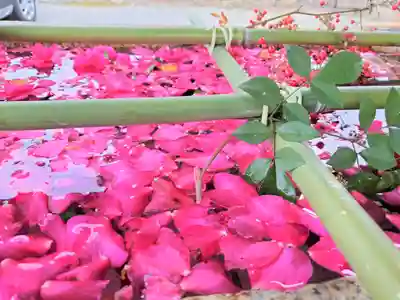 貴布禰神社の手水舎