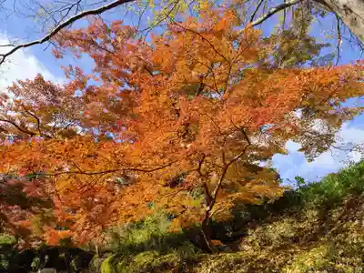 根来寺(和歌山県)
