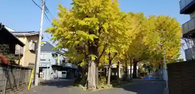 高木神社の自然