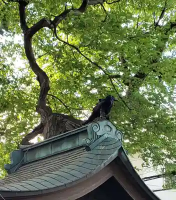 永福稲荷神社のその他建物