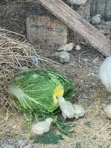 高屋敷稲荷神社(福島県)