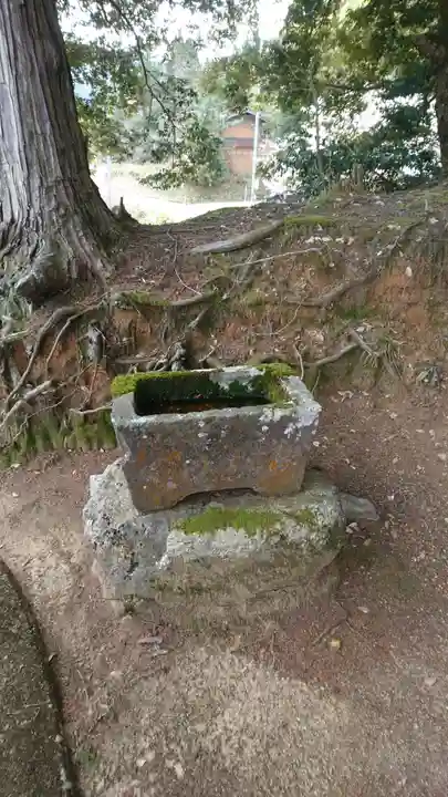 三社神社の手水舎