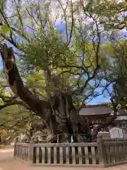 大山祇神社(愛媛県)