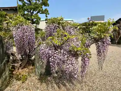 荘嚴浄土寺(大阪府)