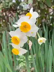 伊和都比売神社の自然