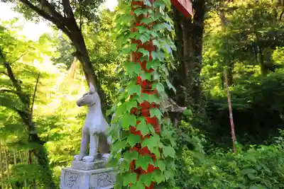 東泉寺の狛犬