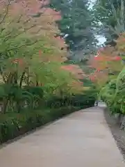 根本大塔　高野山金剛峯寺(和歌山県)