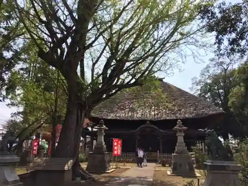 佐竹寺の本殿・本堂