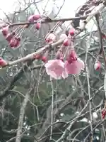 伏木香取神社(茨城県)