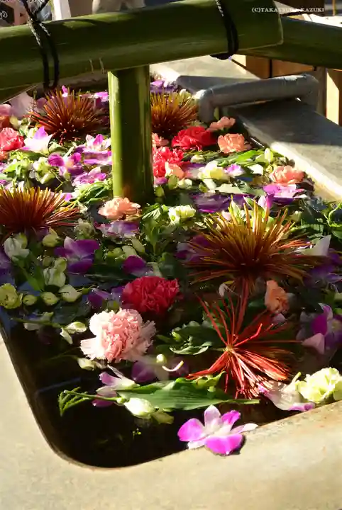 深川神明宮の手水舎