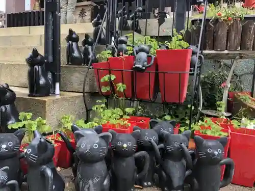 今戸神社の狛犬