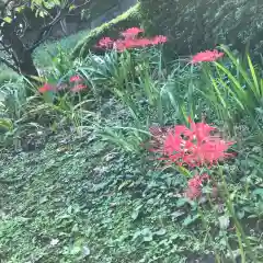 天台宗　長窪山　正覚寺の自然