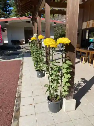 乃木神社(栃木県)