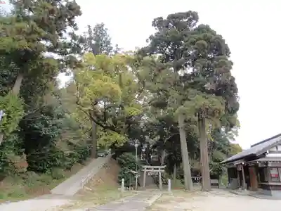 住吉神社の自然