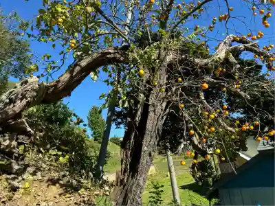 高木神社(福島県)