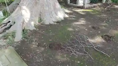 酒門神社(茨城県)