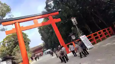 賀茂御祖神社（下鴨神社）(京都府)