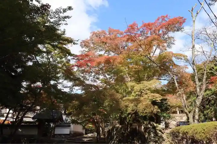 神峯山寺(大阪府)