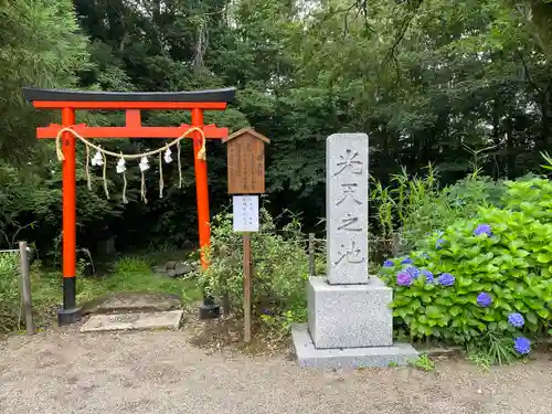 鷲宮神社の鳥居