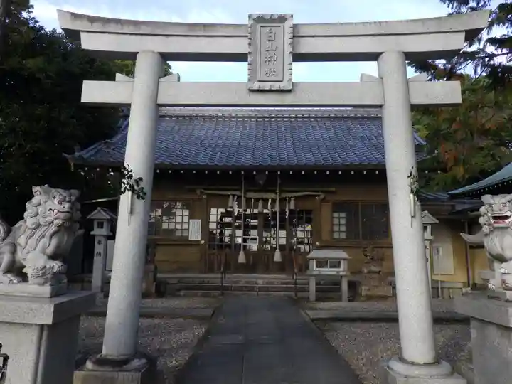 白山神社(小幡)の鳥居