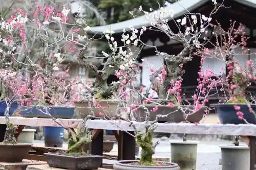 石山寺の御朱印