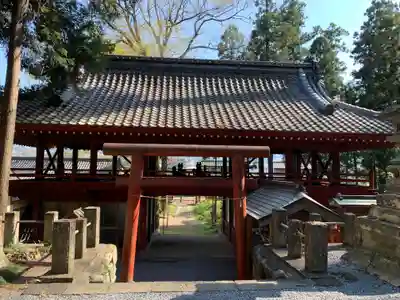 笹森稲荷神社の鳥居