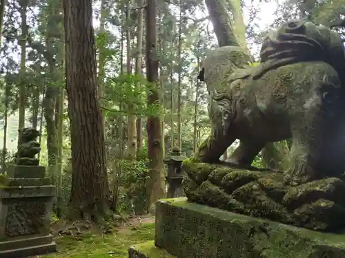 出雲神社の狛犬