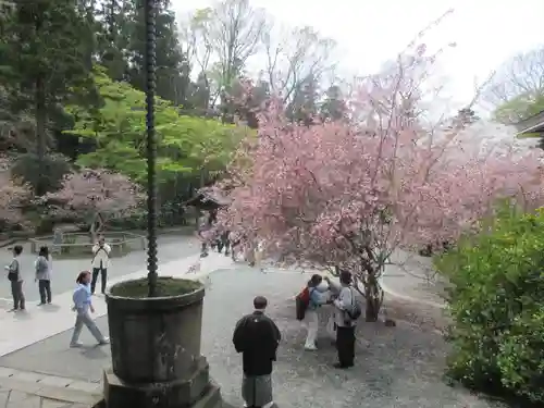 妙本寺の景色