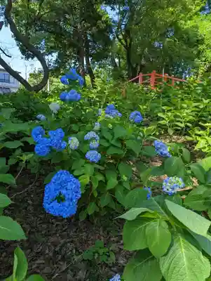藤森神社(京都府)