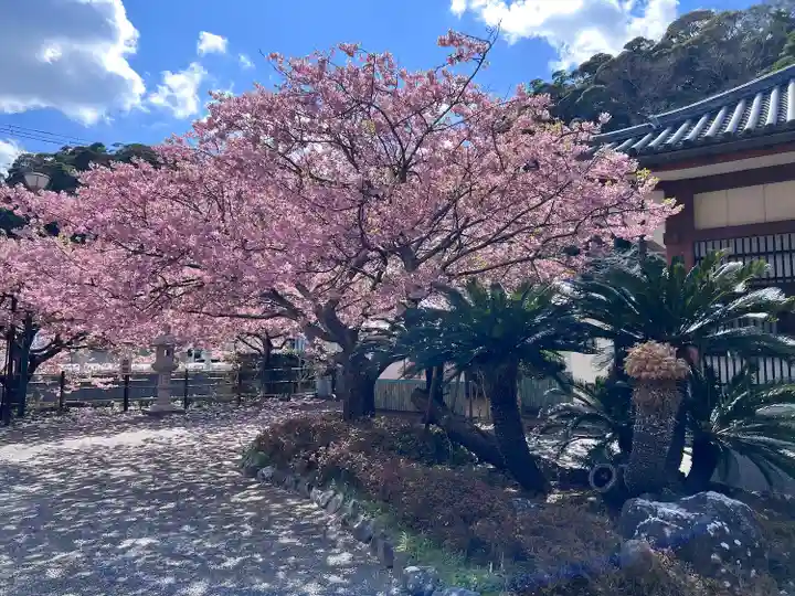 誕生寺(千葉県)
